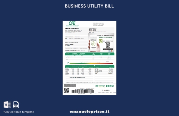 modello di pagina della bolletta della Federal Electricity Commission (CFE) in s